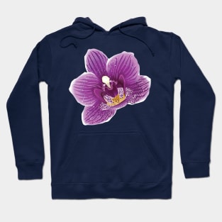 Orchid Flower Hoodie